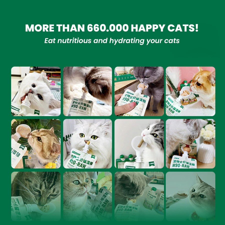 PETKIT Food Chain M90 Wet Food 80g