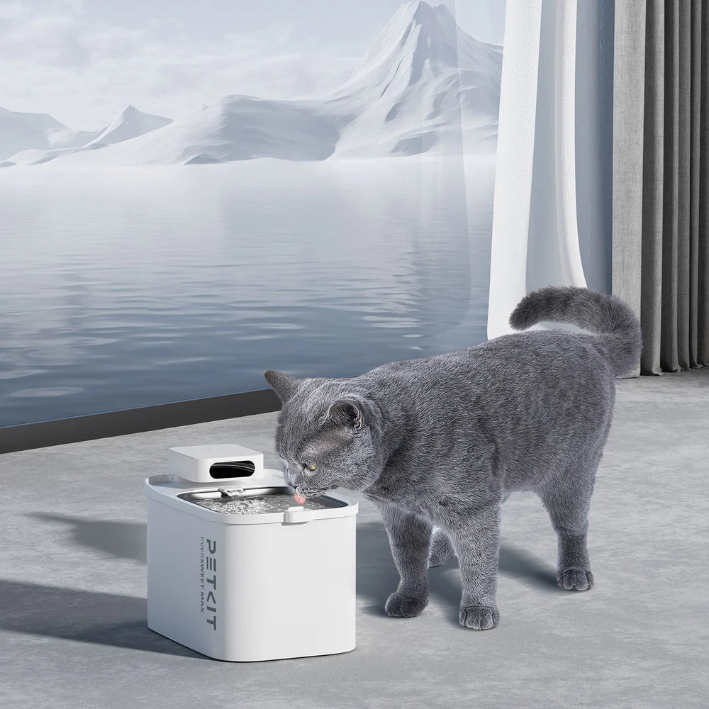 EverSweet Max Fountain (CORDLESS)