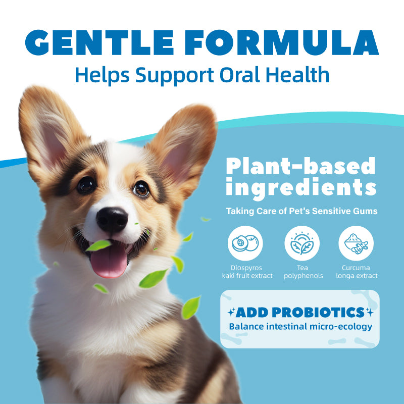 Pet Dental Care Water Additive 250ml