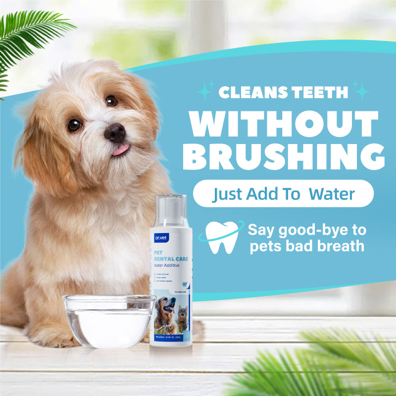Pet Dental Care Water Additive 250ml