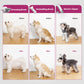 PETKIT AIRCLIPPER 5-IN-1 PET GROOMING KIT
