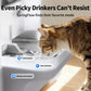 EverSweet Ultra with Camera Pet Water Fountain (Preorder - Arrive at 5 July)