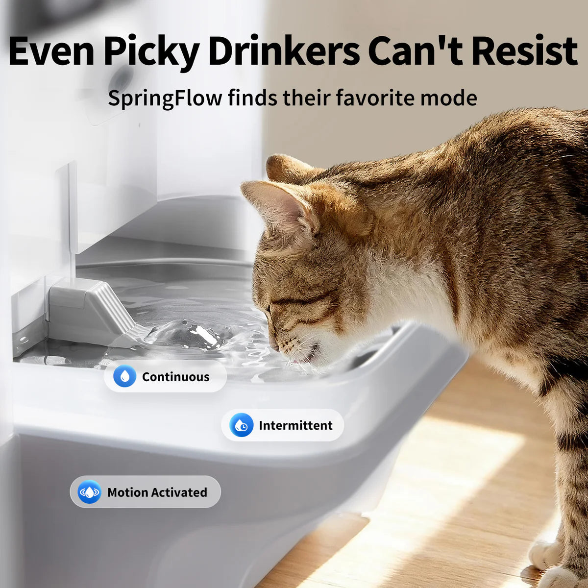EverSweet Ultra with Camera Pet Water Fountain (Preorder - Arrive at 5 July)