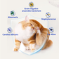 Pet Ear Ointment (Dogs & Cats) - 10g