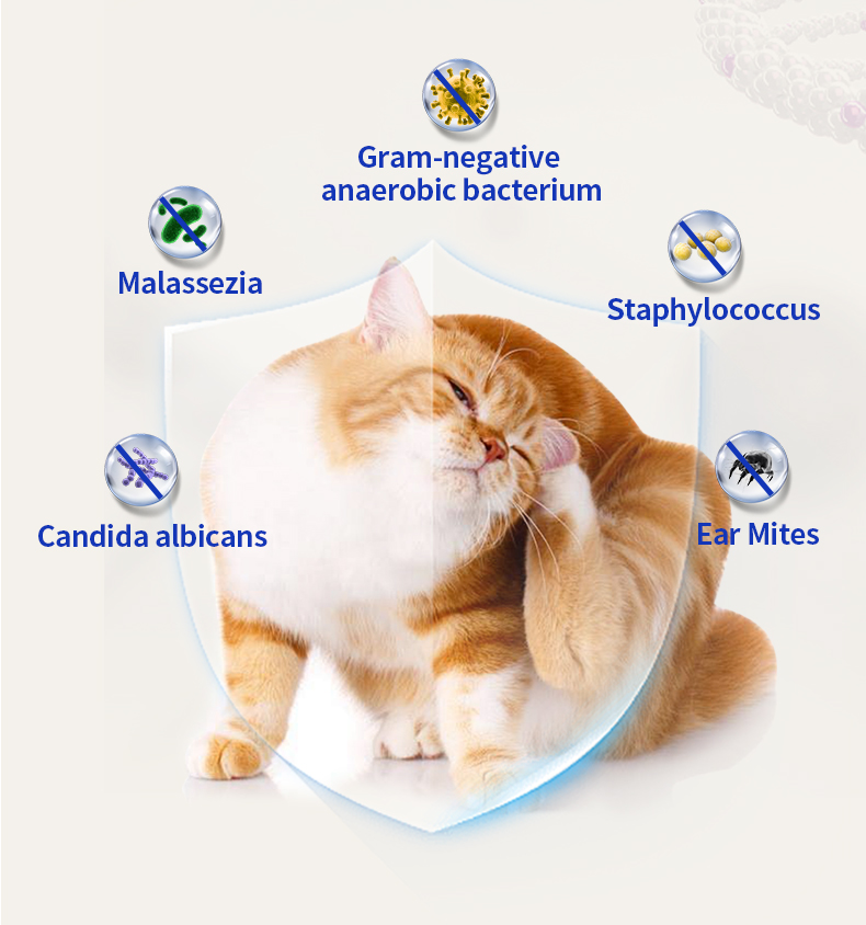Pet Ear Ointment (Dogs & Cats) - 10g
