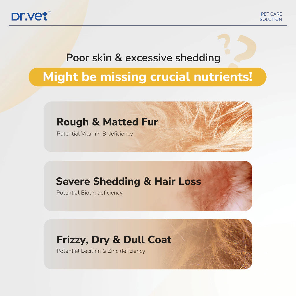 Dr.Vet Crunchy Health Bites Freeze Dried Pet Treats for Cats & Dogs | Skin & Coat | 35g