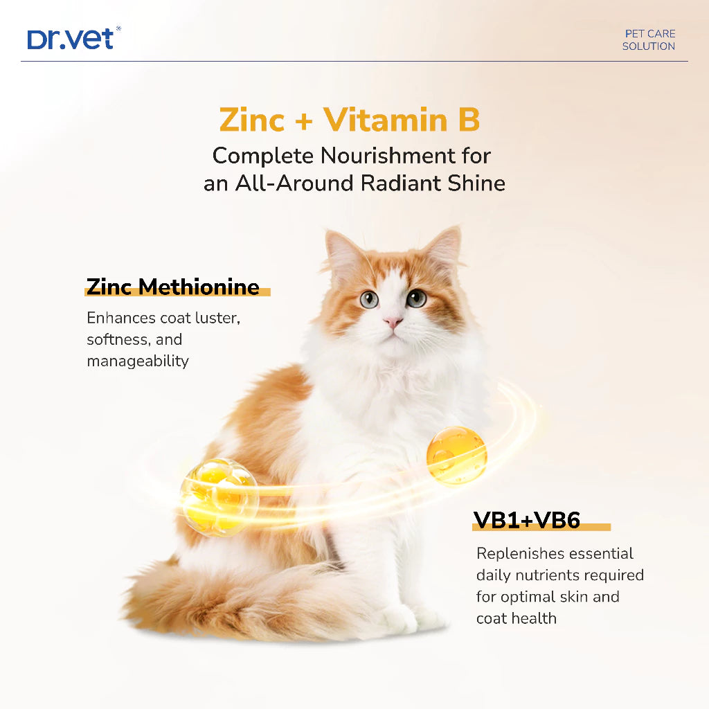 Dr.Vet Crunchy Health Bites Freeze Dried Pet Treats for Cats & Dogs | Skin & Coat | 35g