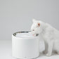 PETKIT YumShare Solo Feeder & Eversweet 3 Pro (UVC) Fountain